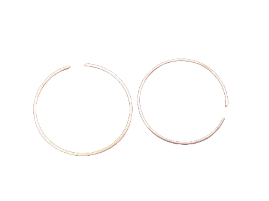 Canon FB5-0287-000  Retaining Ring Assembly